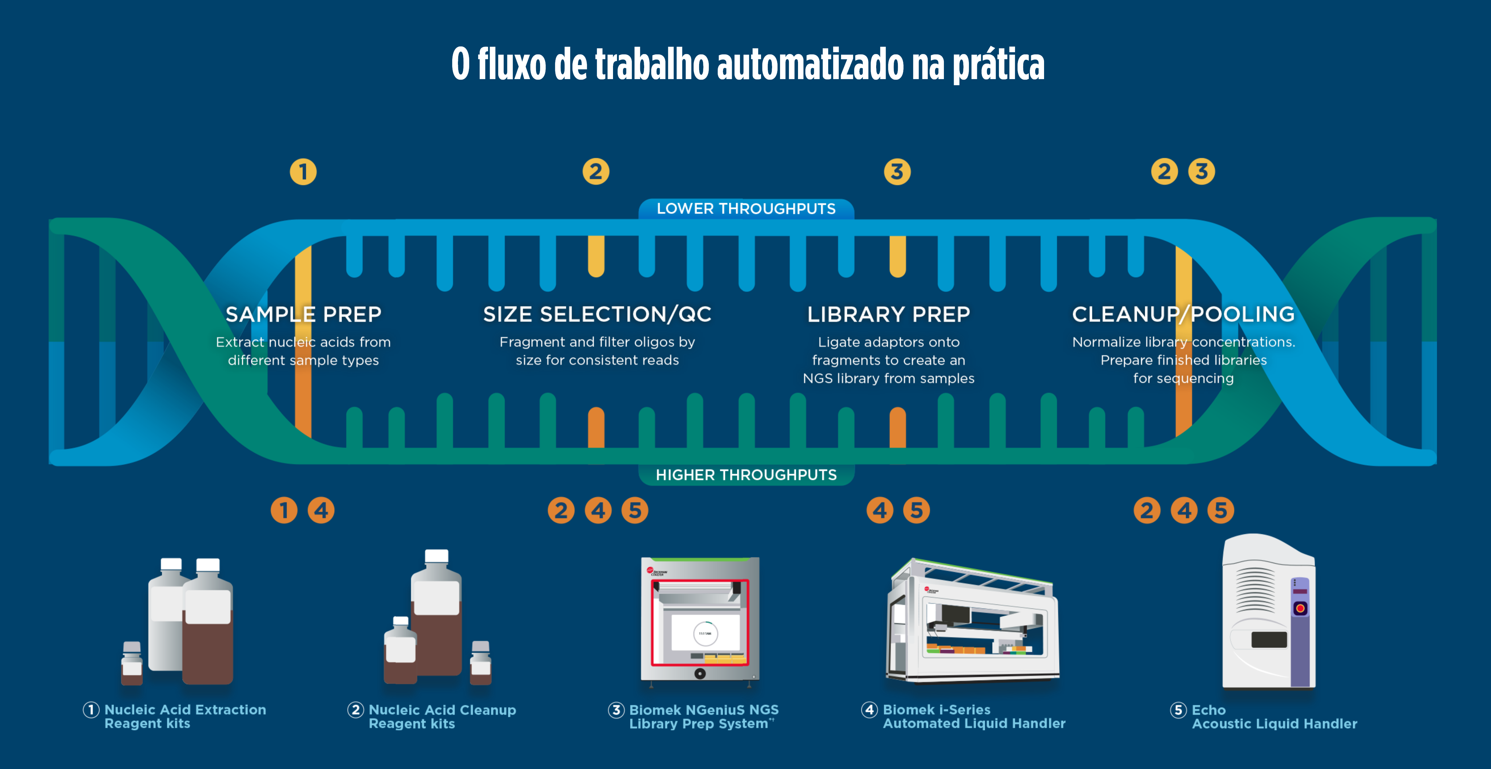 NGSworkflow-biomek-ngenius-brasil_img4.png